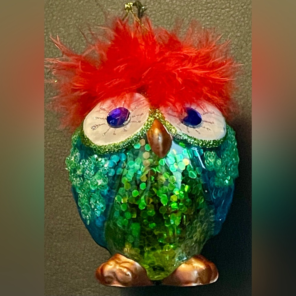 Pier 1 Imports Green/Teal Colorful OWL Christmas Ornament with Big Blue Eyes 👀